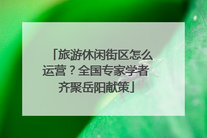 旅游休闲街区怎么运营？全国专家学者齐聚岳阳献策