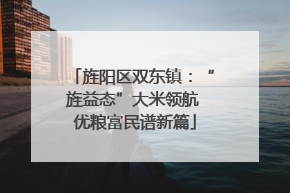 旌阳区双东镇：“旌益态”大米领航 优粮富民谱新篇