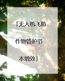 无人机飞防 作物管护节本增效