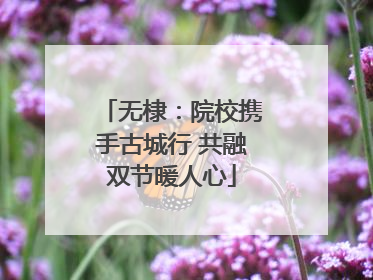 无棣：院校携手古城行 共融双节暖人心
