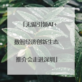 无锡引领AI+数智经济创新生态推介会走进深圳