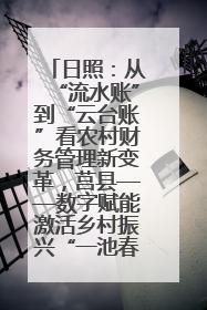 日照：从“流水账”到“云台账”看农村财务管理新变革，莒县——数字赋能激活乡村振兴“一池春水”