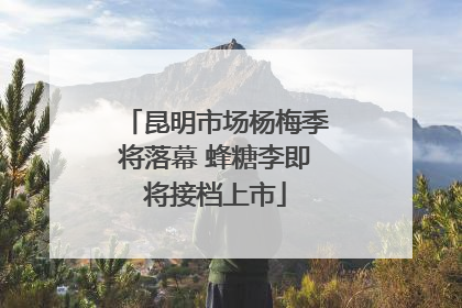 昆明市场杨梅季将落幕 蜂糖李即将接档上市