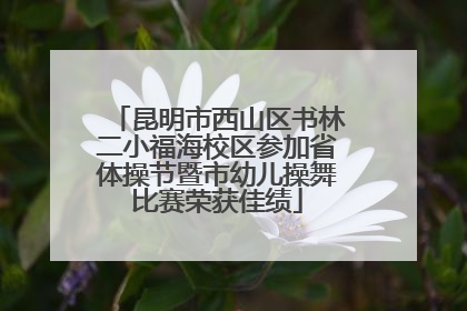 昆明市西山区书林二小福海校区参加省体操节暨市幼儿操舞比赛荣获佳绩