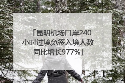 昆明机场口岸240小时过境免签入境人数同比增长977%