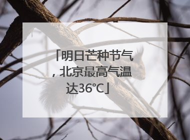 明日芒种节气，北京最高气温达36℃
