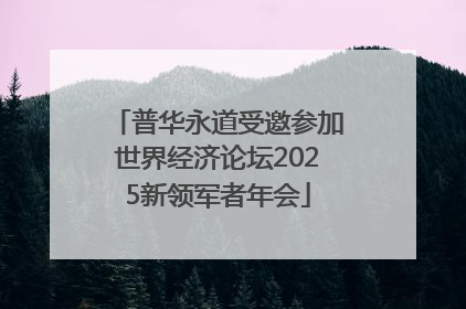 普华永道受邀参加世界经济论坛2025新领军者年会