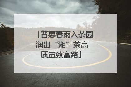 普惠春雨入茶园 润出“湘”茶高质量致富路