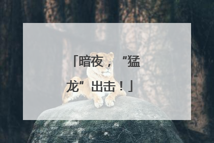 暗夜，“猛龙”出击！