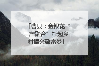 曹县：金银花“三产融合”托起乡村振兴致富梦