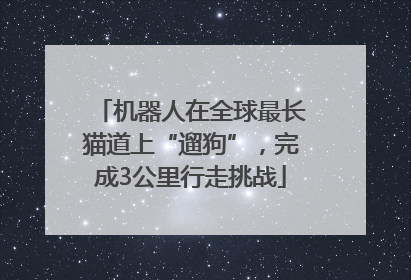 机器人在全球最长猫道上“遛狗”，完成3公里行走挑战