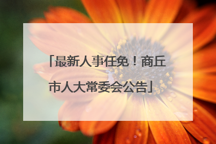 最新人事任免！商丘市人大常委会公告