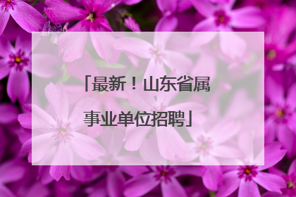 最新！山东省属事业单位招聘