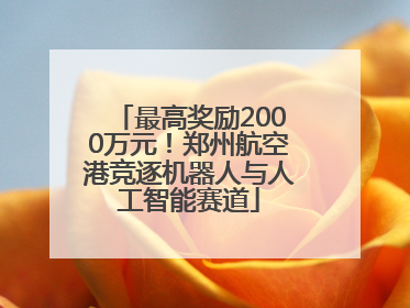 最高奖励2000万元！郑州航空港竞逐机器人与人工智能赛道