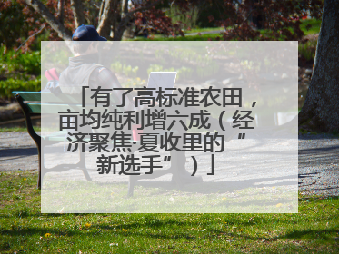 有了高标准农田，亩均纯利增六成（经济聚焦·夏收里的“新选手”）