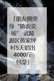 朋友圈变身“助农卖场” 武陵源区黄家坪村5天销出4000斤包菜