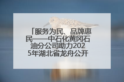 服务为民、品牌惠民——中石化黄冈石油分公司助力2025年湖北省龙舟公开赛（黄冈站）