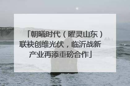 朝曦时代（曜灵山东）联袂创维光伏，临沂战新产业再添重磅合作