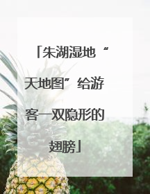 朱湖湿地“天地图”给游客一双隐形的翅膀