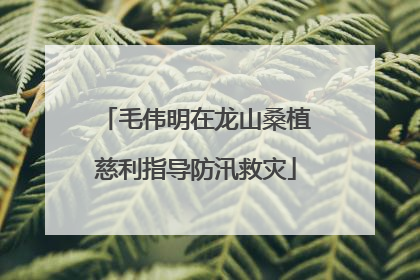 毛伟明在龙山桑植慈利指导防汛救灾