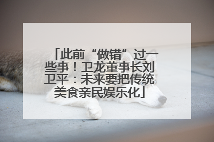 此前“做错”过一些事！卫龙董事长刘卫平：未来要把传统美食亲民娱乐化