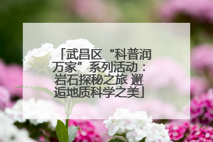 武昌区“科普润万家”系列活动：岩石探秘之旅 邂逅地质科学之美