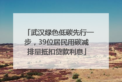 武汉绿色低碳先行一步，39位居民用碳减排量抵扣贷款利息