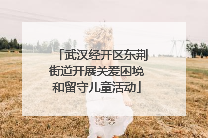 武汉经开区东荆街道开展关爱困境和留守儿童活动