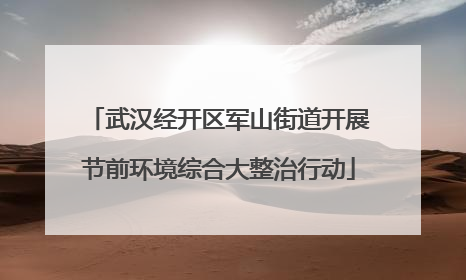 武汉经开区军山街道开展节前环境综合大整治行动