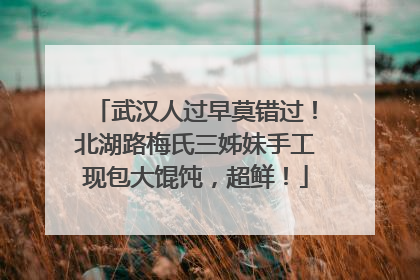 武汉人过早莫错过！北湖路梅氏三姊妹手工现包大馄饨，超鲜！