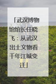 武汉博物馆馆长任晓飞：从武汉出土文物看千年江城变迁