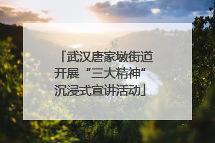 武汉唐家墩街道开展“三大精神”沉浸式宣讲活动