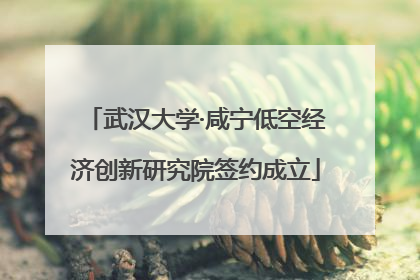 武汉大学·咸宁低空经济创新研究院签约成立
