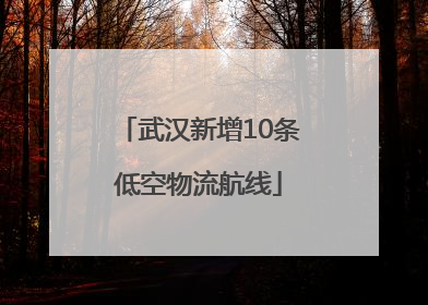 武汉新增10条低空物流航线