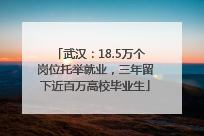武汉：18.5万个岗位托举就业，三年留下近百万高校毕业生