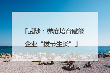 武陟：梯度培育赋能企业“拔节生长”