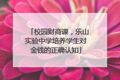 校园财商课，乐山实验中学培养学生对金钱的正确认知