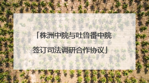株洲中院与吐鲁番中院签订司法调研合作协议