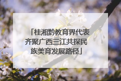 桂湘黔教育界代表齐聚广西三江共探民族美育发展路径
