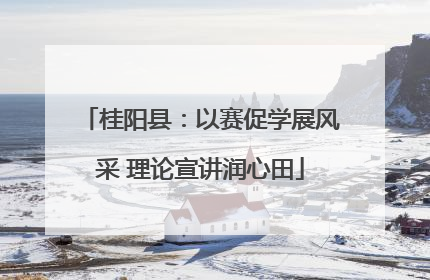 桂阳县：以赛促学展风采 理论宣讲润心田
