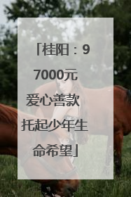 桂阳：97000元爱心善款 托起少年生命希望