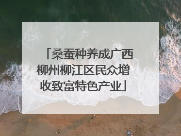 桑蚕种养成广西柳州柳江区民众增收致富特色产业