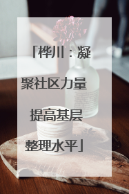 桦川：凝聚社区力量 提高基层整理水平