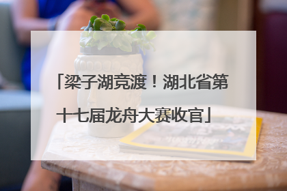 梁子湖竞渡！湖北省第十七届龙舟大赛收官