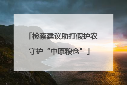检察建议助打假护农守护“中原粮仓”