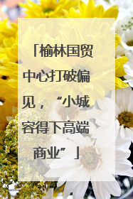 榆林国贸中心打破偏见，“小城容得下高端商业”