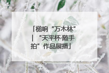 槌响“万木林”｜“天平杯·随手拍”作品展播