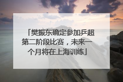樊振东确定参加乒超第二阶段比赛，未来一个月将在上海训练