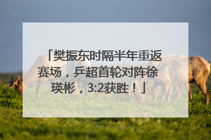 樊振东时隔半年重返赛场，乒超首轮对阵徐瑛彬，3:2获胜！