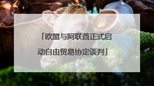 欧盟与阿联酋正式启动自由贸易协定谈判